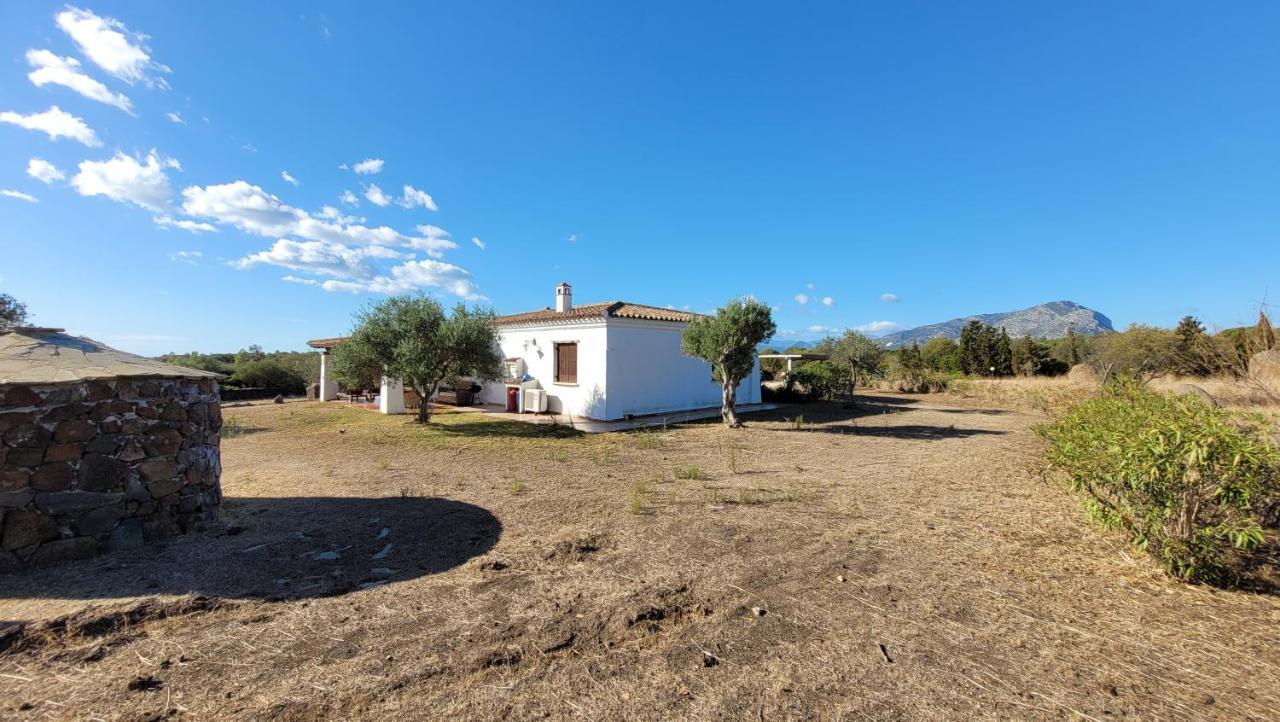 Villa Casa Mate Orosei Dış mekan fotoğraf