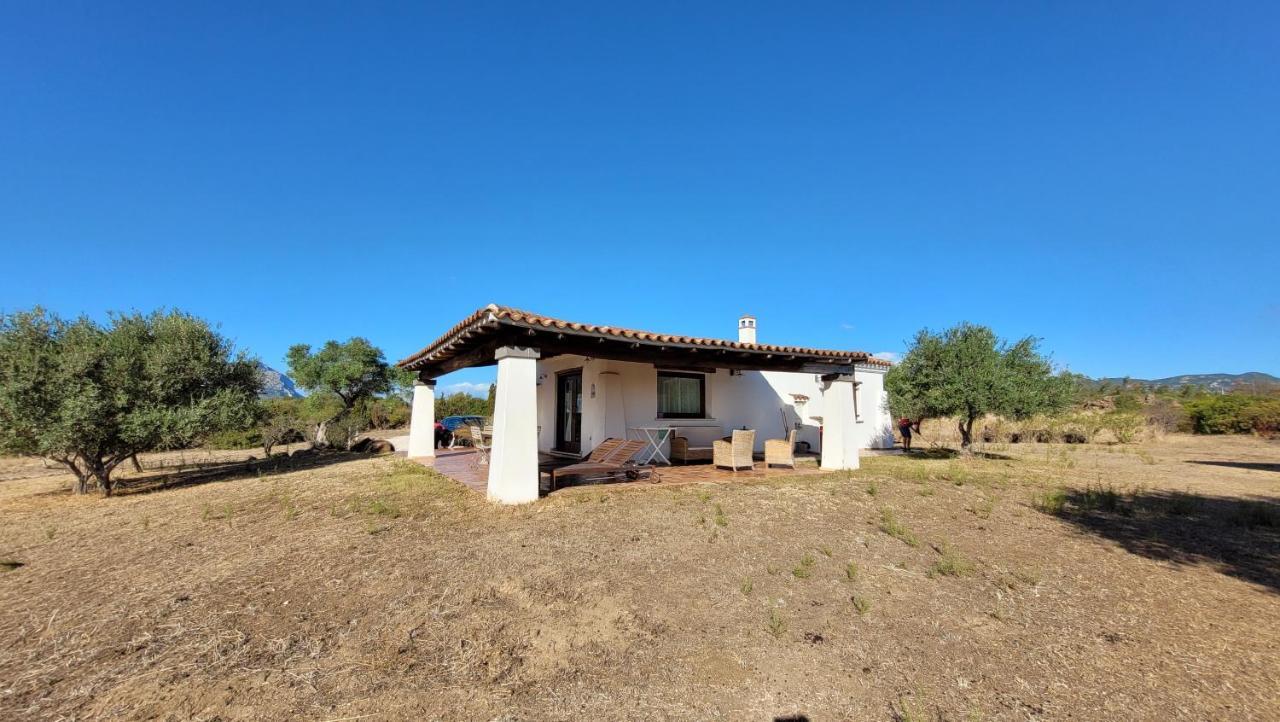 Villa Casa Mate Orosei Dış mekan fotoğraf