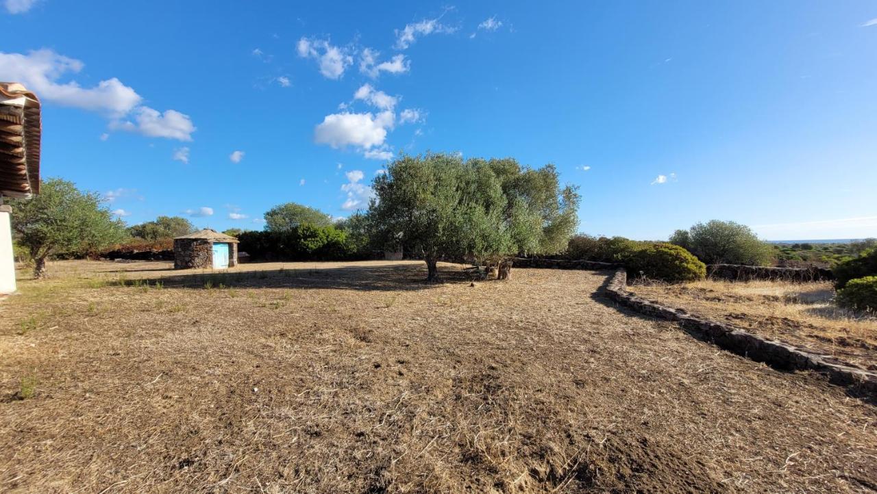 Villa Casa Mate Orosei Dış mekan fotoğraf